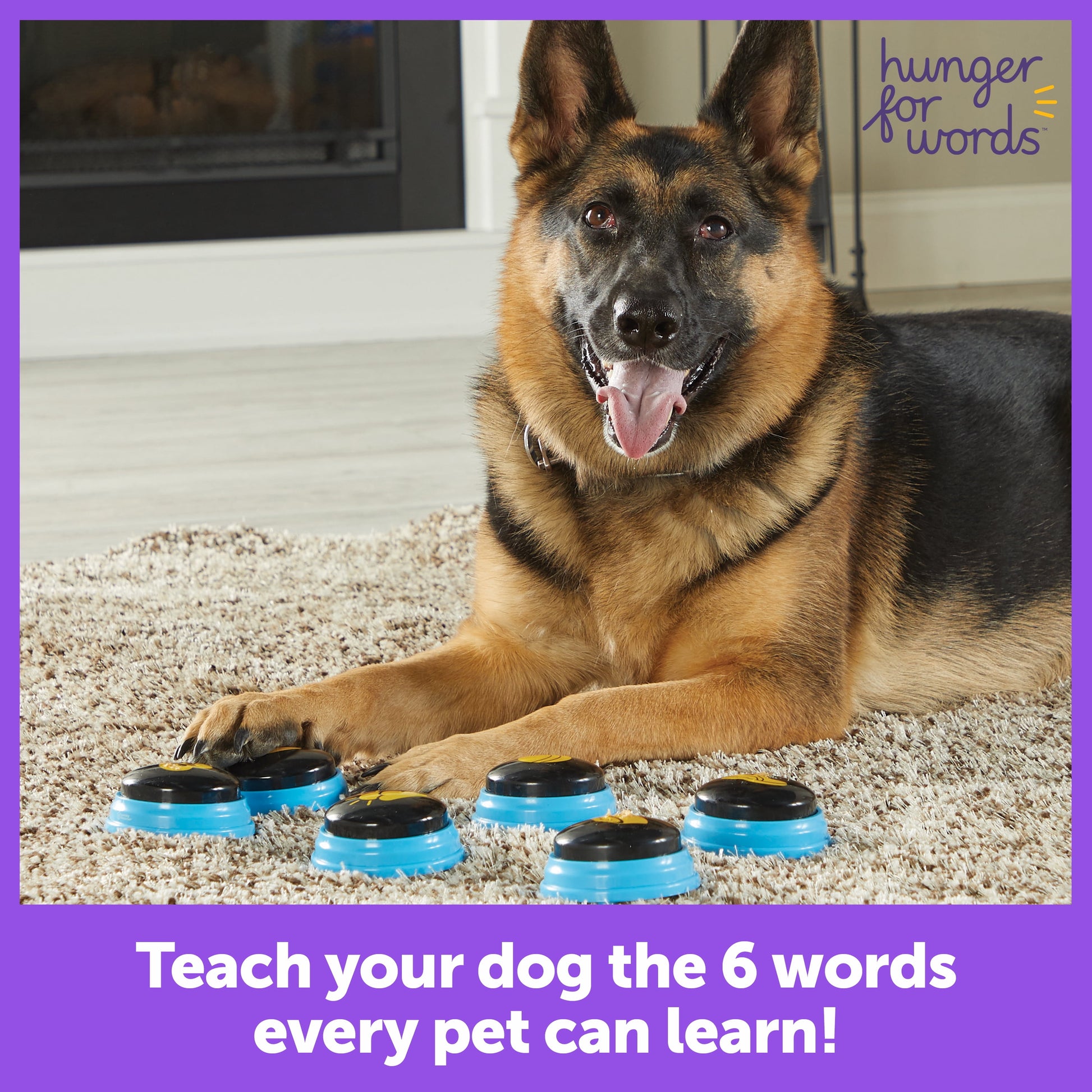 Unlock Your Dog's Voice: 6 Fun Talking Buttons for Canine Communication!