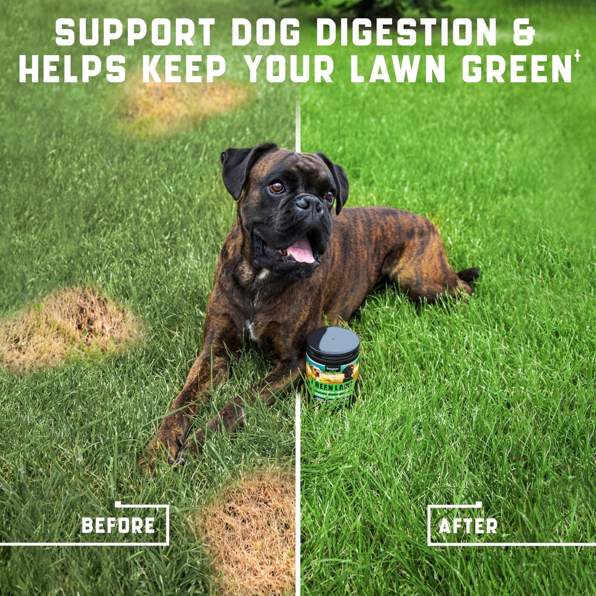 Green Lawn Chews for Dogs Cranberry ACV Digestive Enzymes Natural Dog Urine