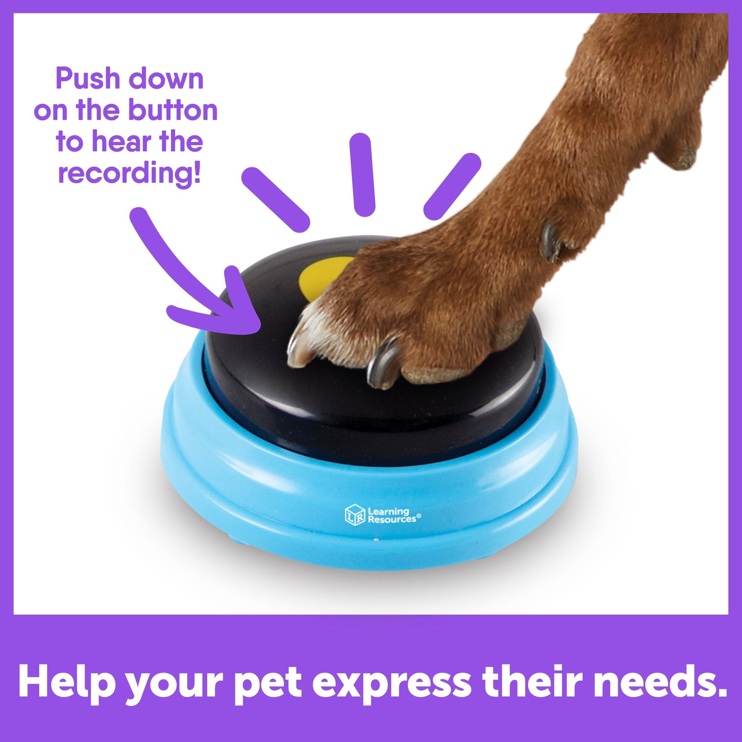 Unlock Your Dog's Voice: 6 Fun Talking Buttons for Canine Communication!