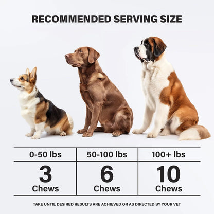 Delicious Chicken-Flavored Calming Chews for Dogs - 90 Soft Treats for Anxiety Relief